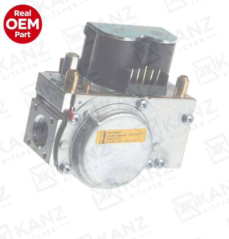 Gas Valve SEP Steam
