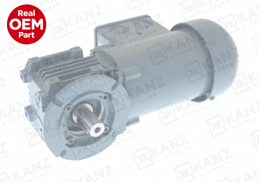 Gear Motor